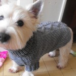 patron gratuit tricot manteau chien