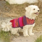 patron gratuit tricot manteau chien