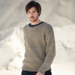 modèle gratuit tricot veste homme