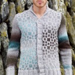 modèle gratuit tricot veste homme