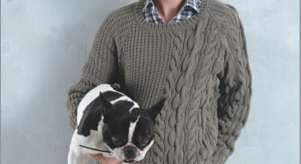 Pull et Gilet Homme Prix